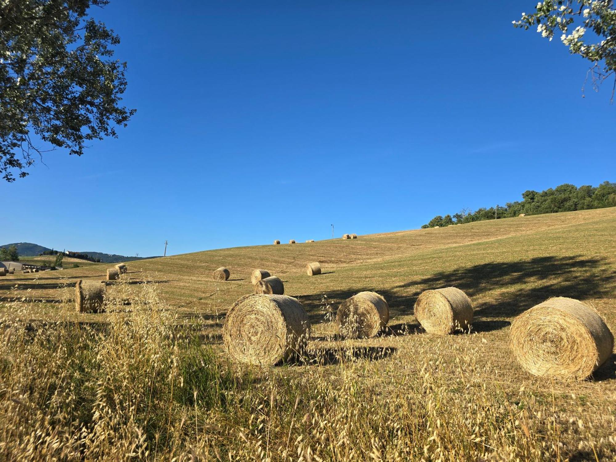 콘티냐노 Finestra Della Val D'Orcia 아파트 외부 사진
